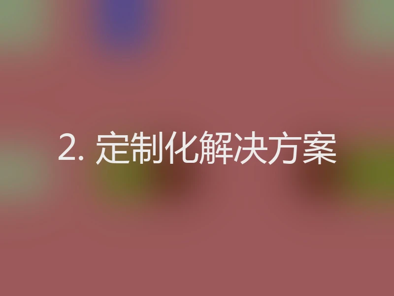 2. 定制化解决方案