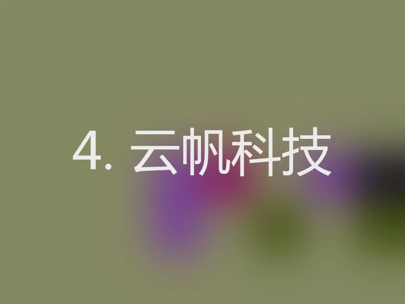 4. 云帆科技