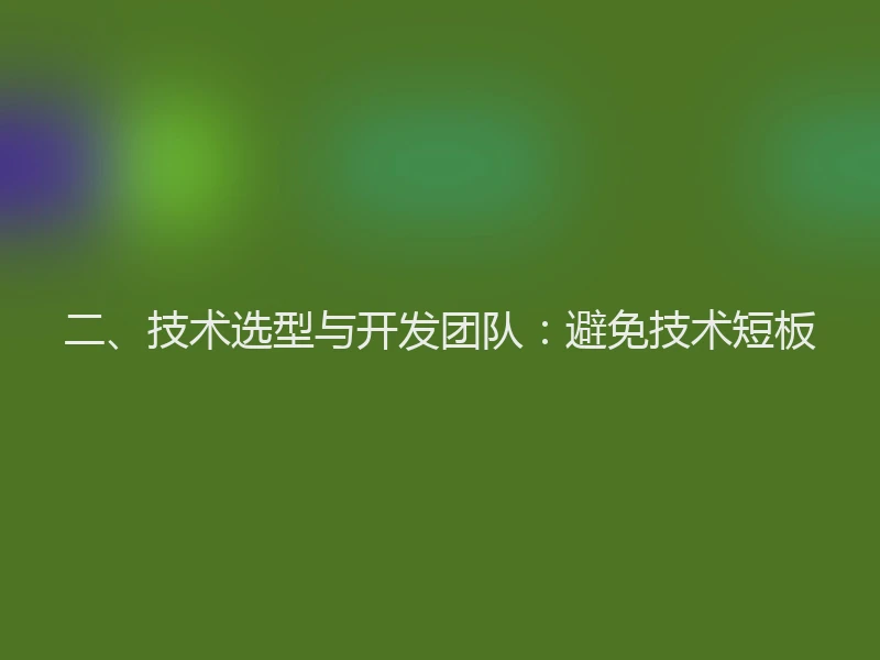 二、技术选型与开发团队：避免技术短板