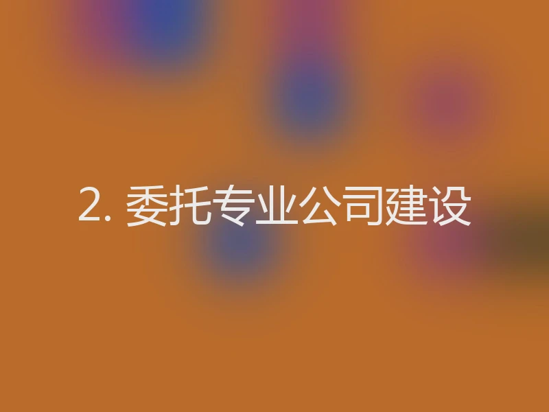 2. 委托专业公司建设