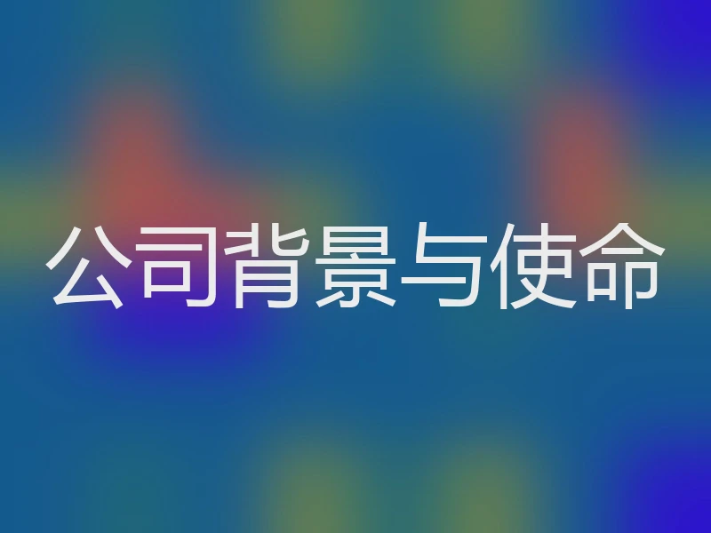公司背景与使命
