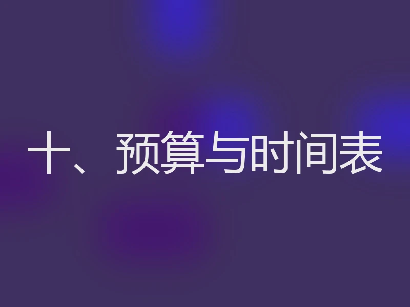 十、预算与时间表