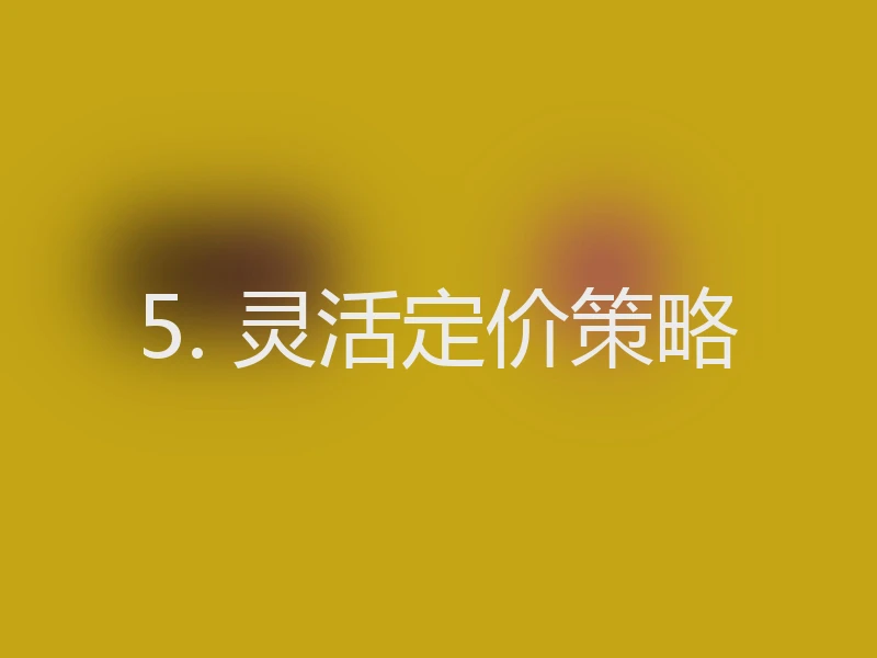 5. 灵活定价策略