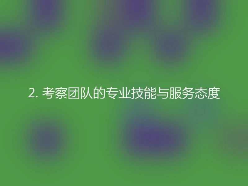 2. 考察团队的专业技能与服务态度