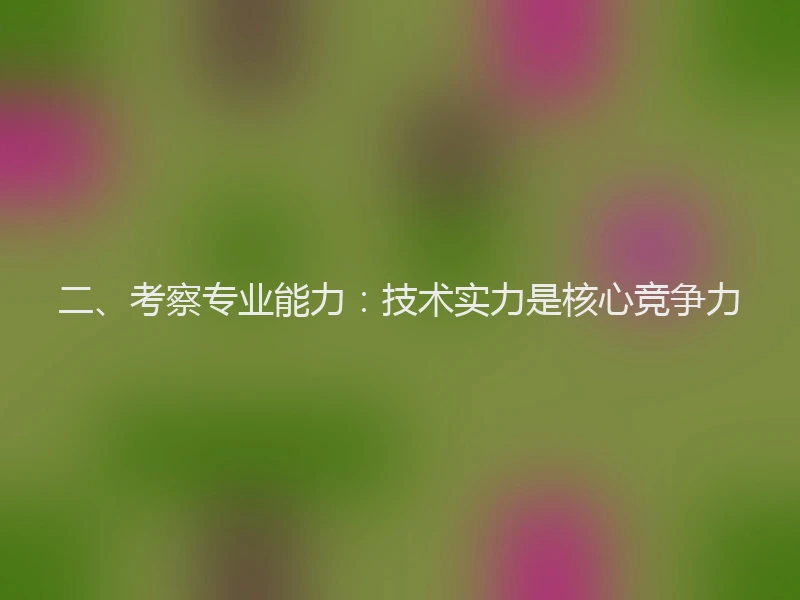 二、考察专业能力：技术实力是核心竞争力