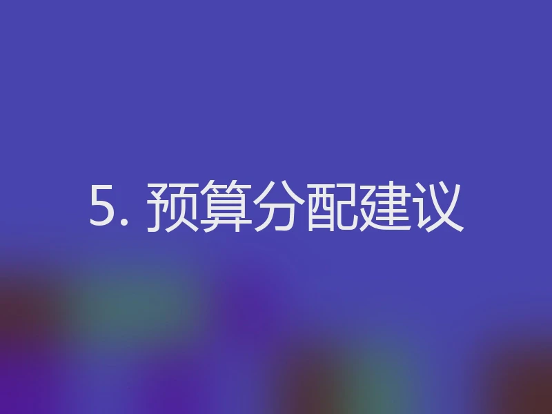 5. 预算分配建议