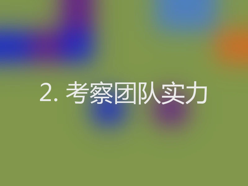 2. 考察团队实力