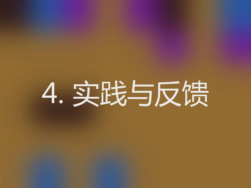 4. 实践与反馈