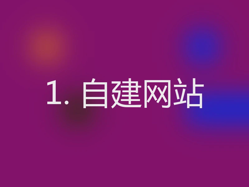1. 自建网站