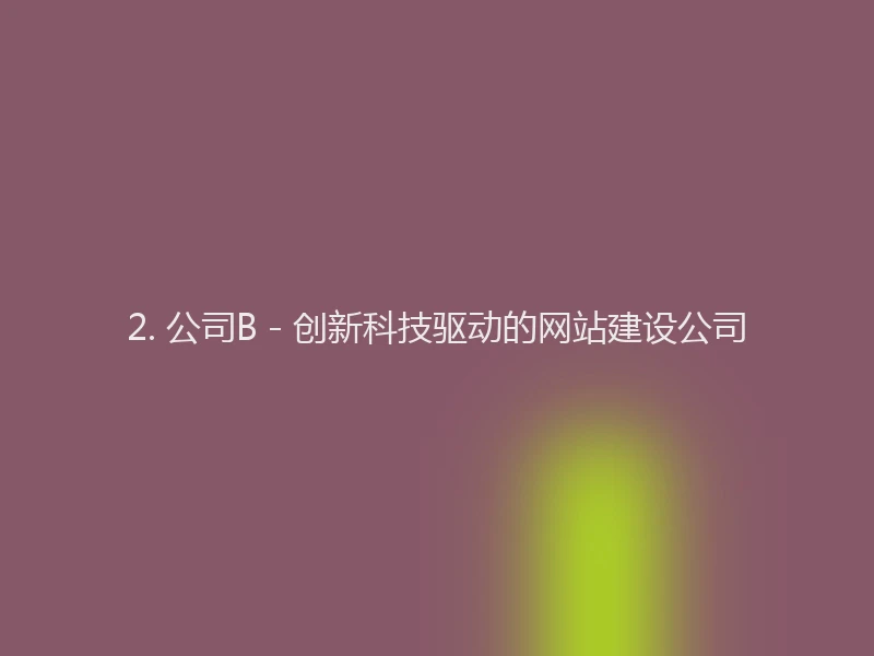 2. 公司B - 创新科技驱动的网站建设公司