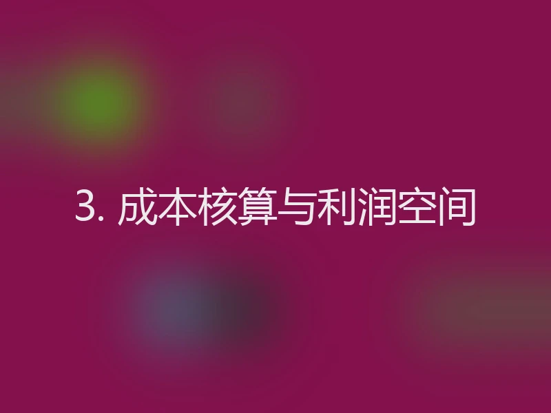 3. 成本核算与利润空间