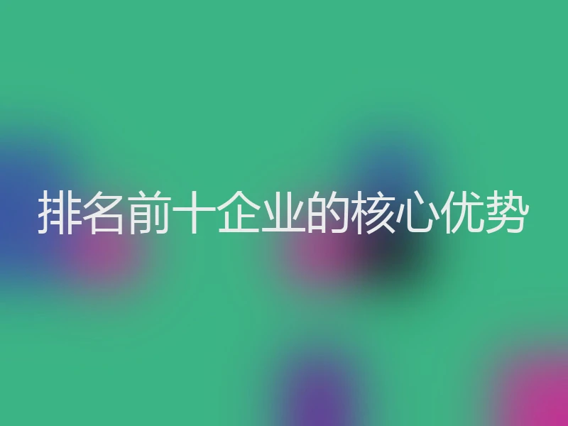 排名前十企业的核心优势