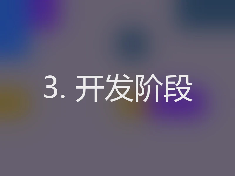 3. 开发阶段
