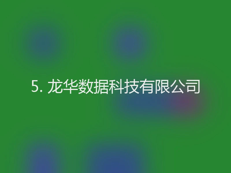 5. 龙华数据科技有限公司