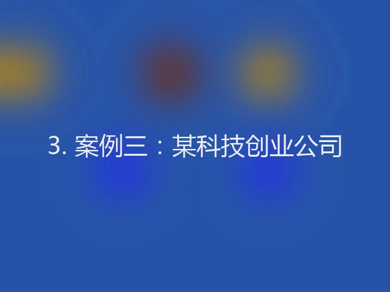 3. 案例三：某科技创业公司