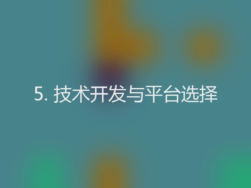 5. 技术开发与平台选择
