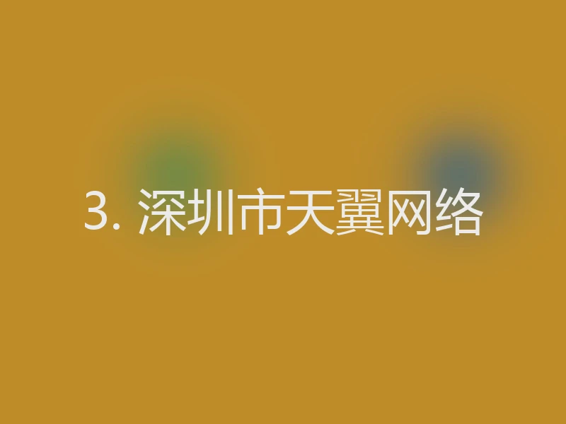 3. 深圳市天翼网络