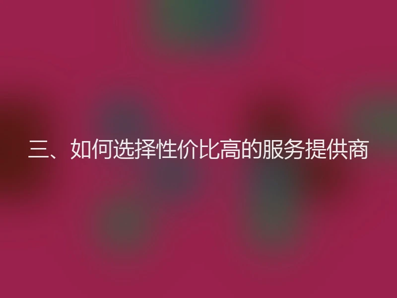 三、如何选择性价比高的服务提供商