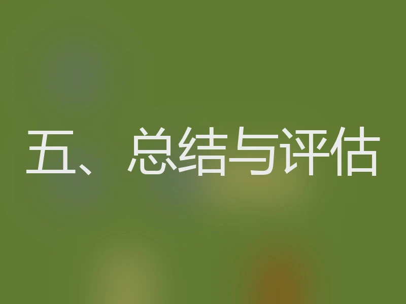 五、总结与评估