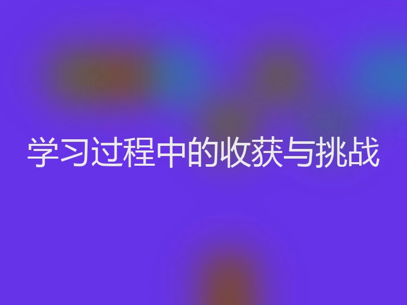 学习过程中的收获与挑战