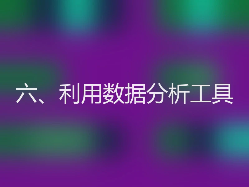 六、利用数据分析工具