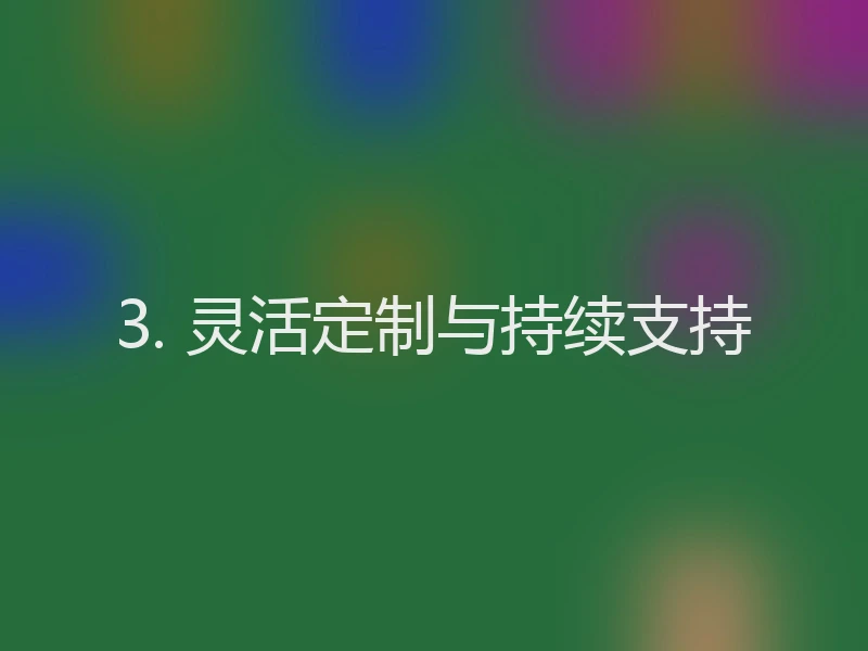 3. 灵活定制与持续支持