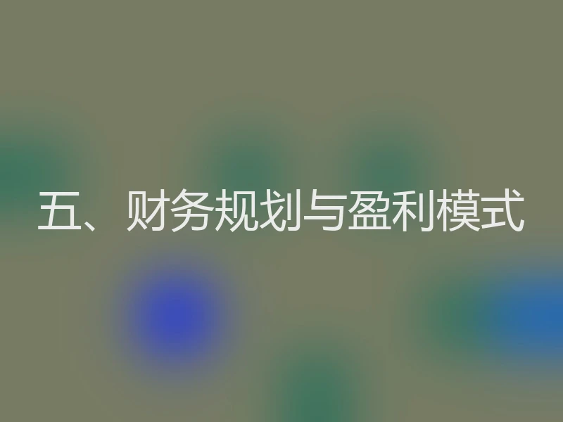 五、财务规划与盈利模式