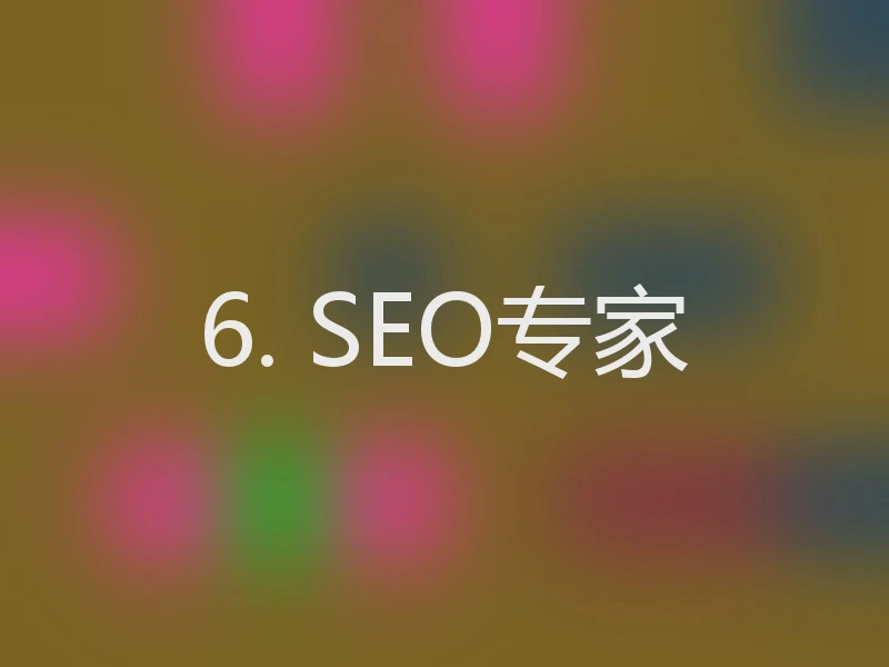 6. SEO专家