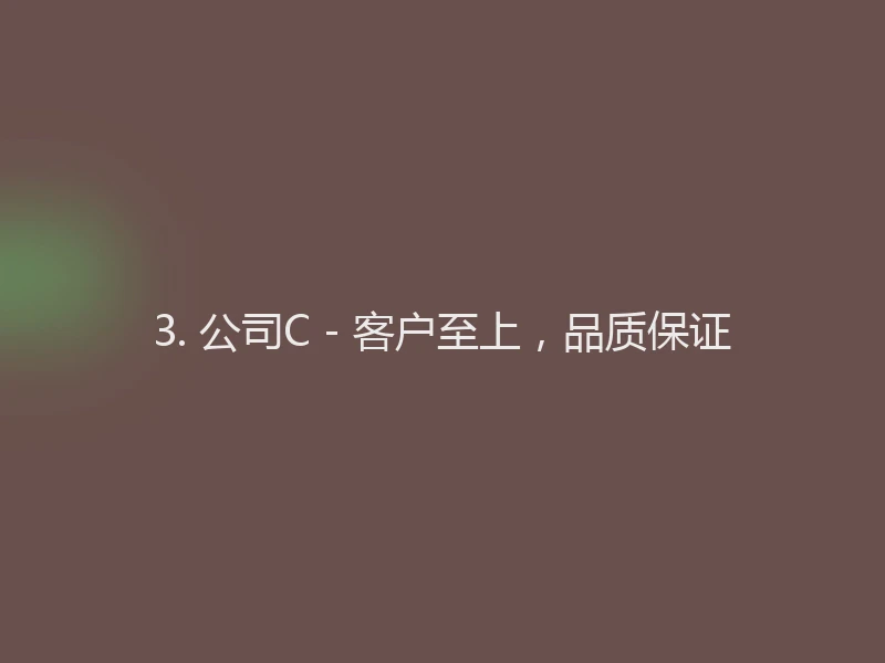 3. 公司C - 客户至上，品质保证