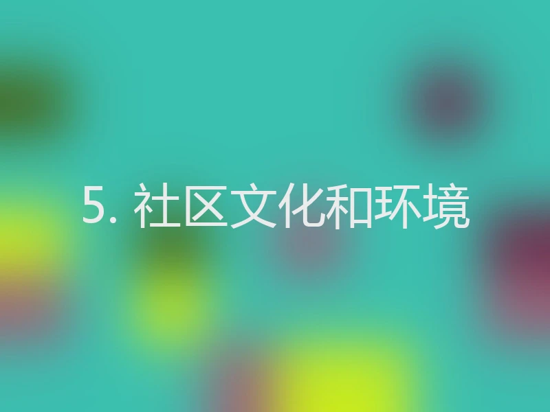 5. 社区文化和环境
