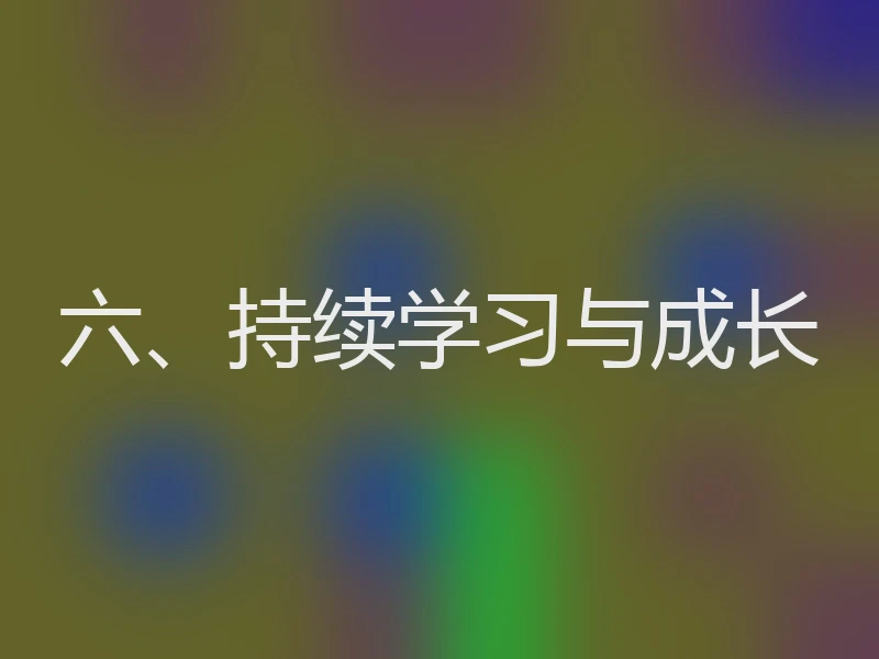 六、持续学习与成长