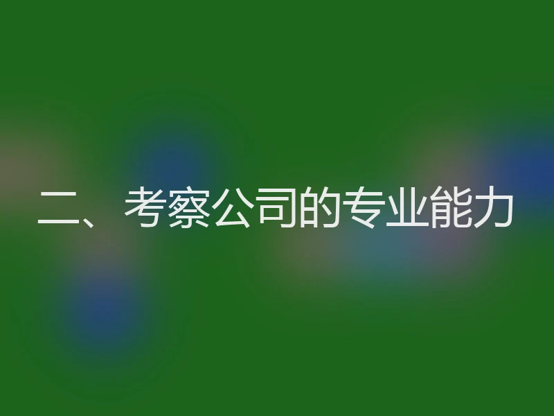 二、考察公司的专业能力