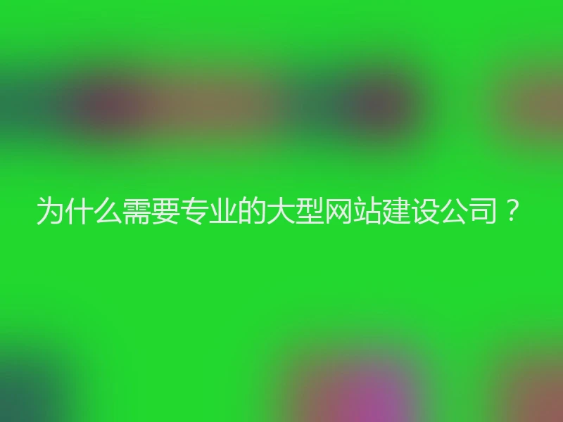 为什么需要专业的大型网站建设公司？