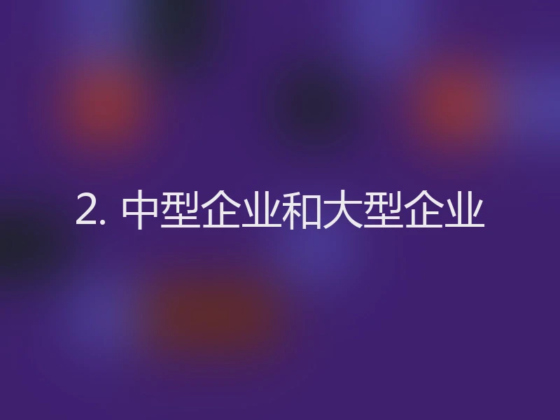 2. 中型企业和大型企业