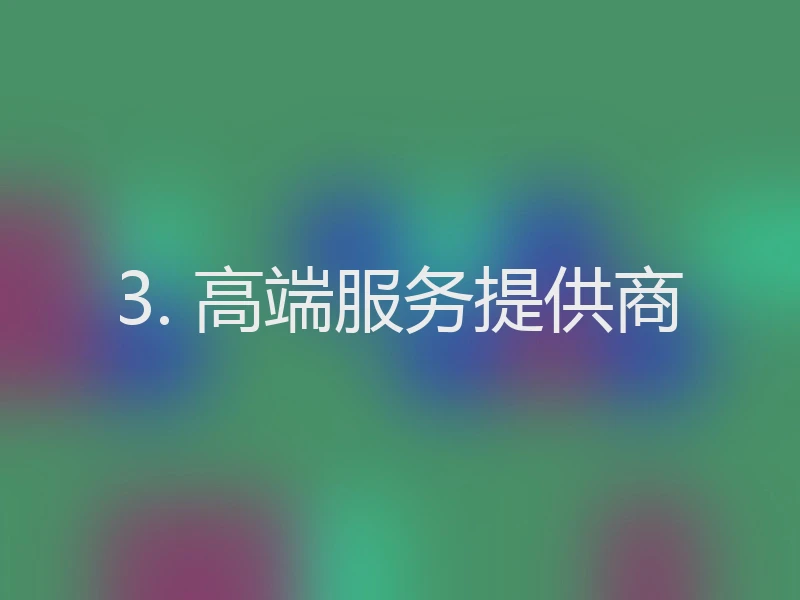 3. 高端服务提供商