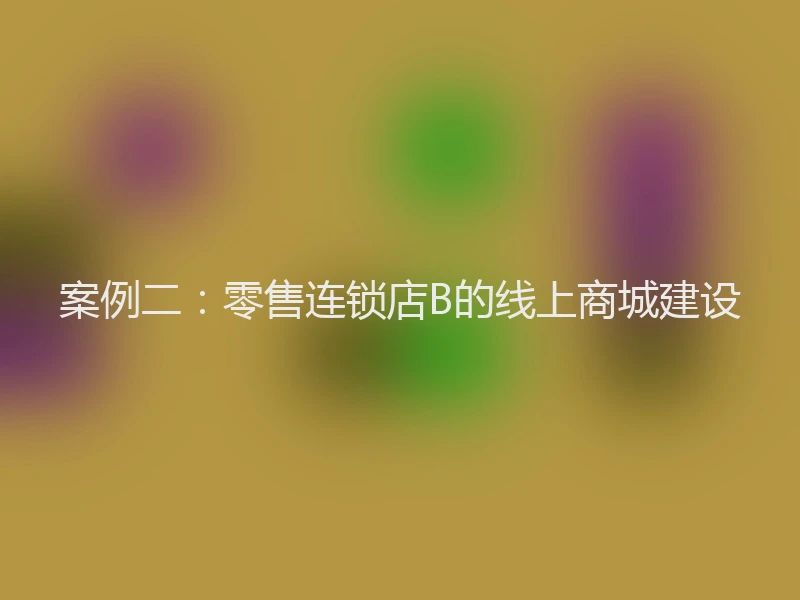 案例二：零售连锁店B的线上商城建设