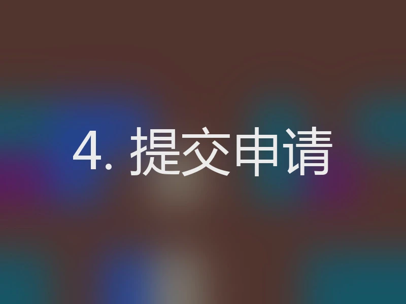 4. 提交申请