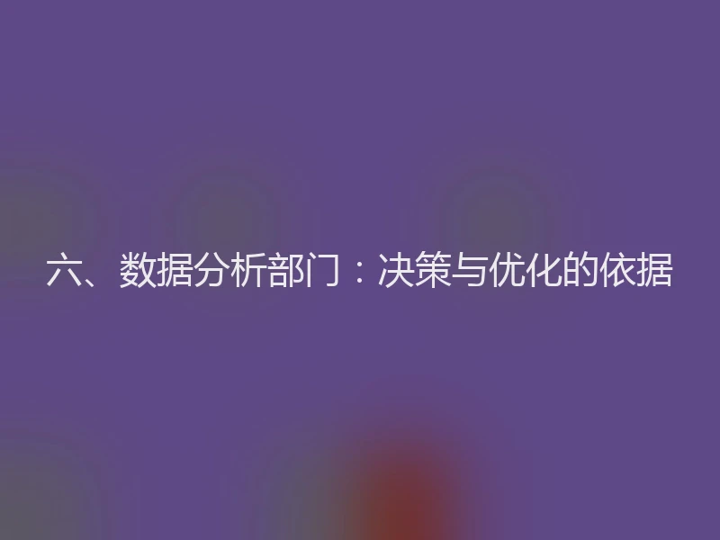 六、数据分析部门：决策与优化的依据