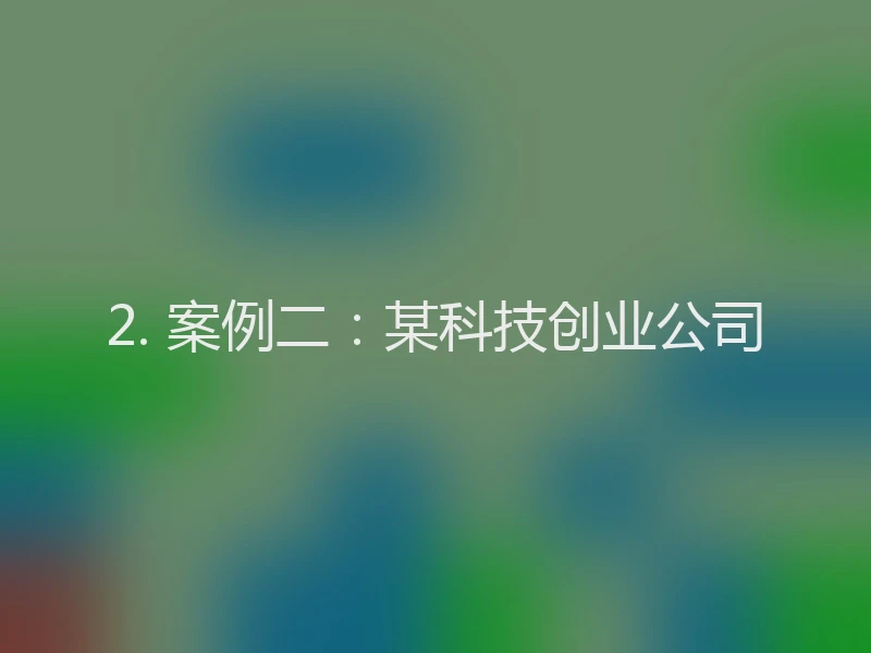 2. 案例二:某科技创业公司