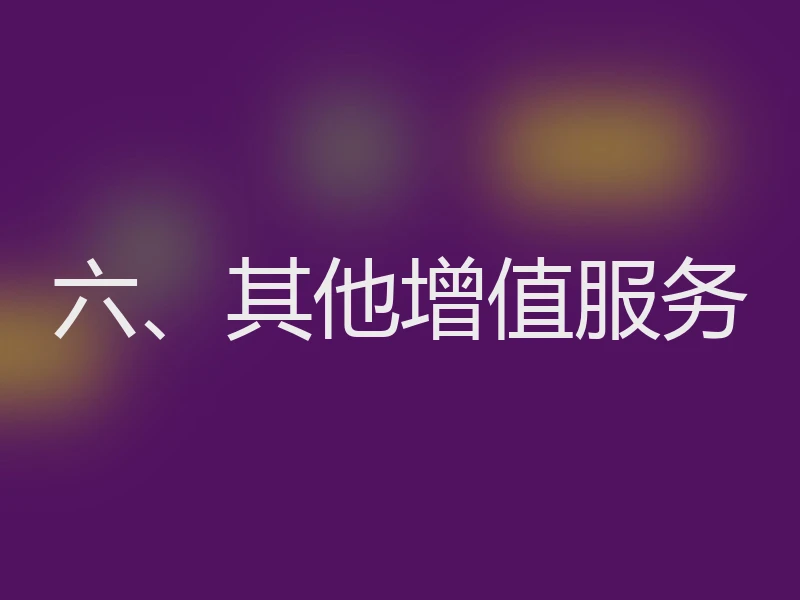 六、其他增值服务