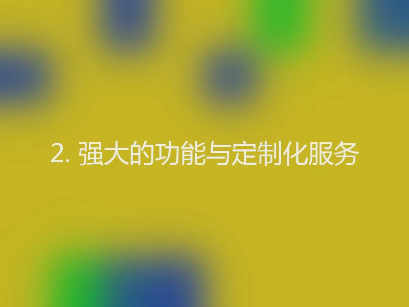 2. 强大的功能与定制化服务