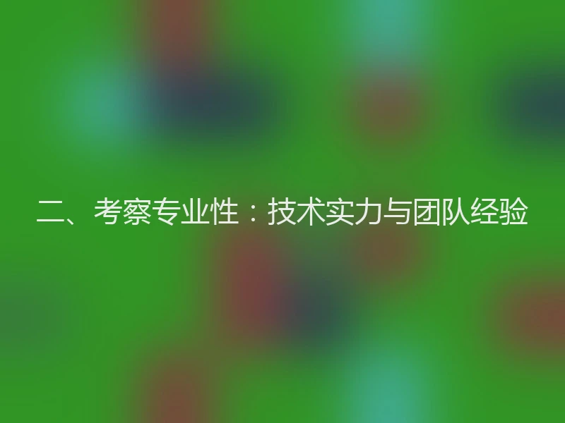 二、考察专业性：技术实力与团队经验