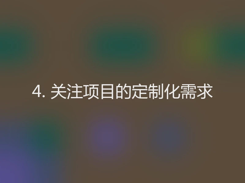 4. 关注项目的定制化需求