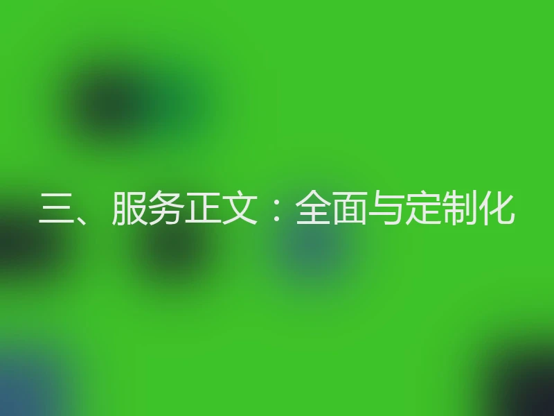 三、服务正文：全面与定制化
