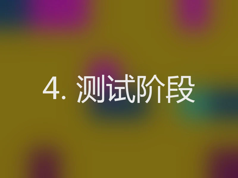 4. 测试阶段