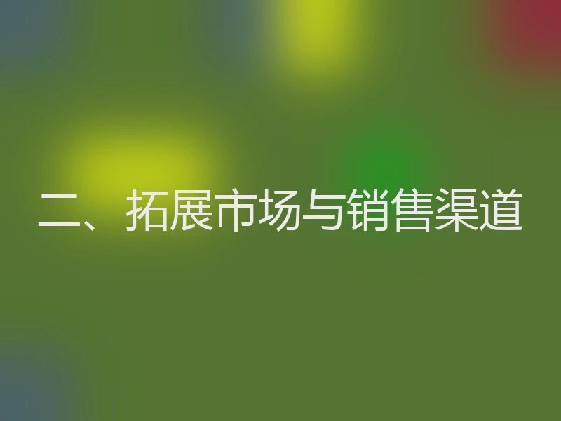 二、拓展市场与销售渠道