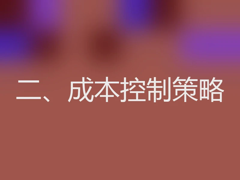 二、成本控制策略