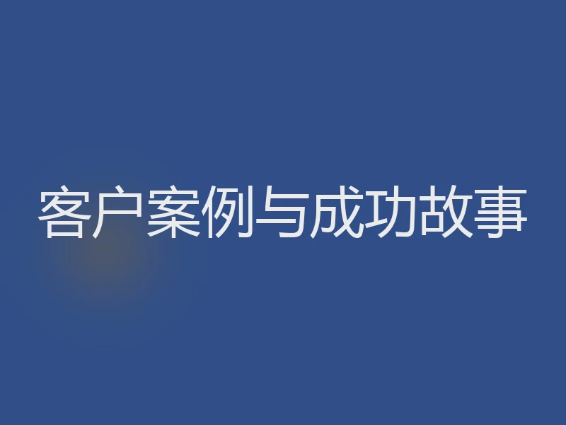 客户案例与成功故事