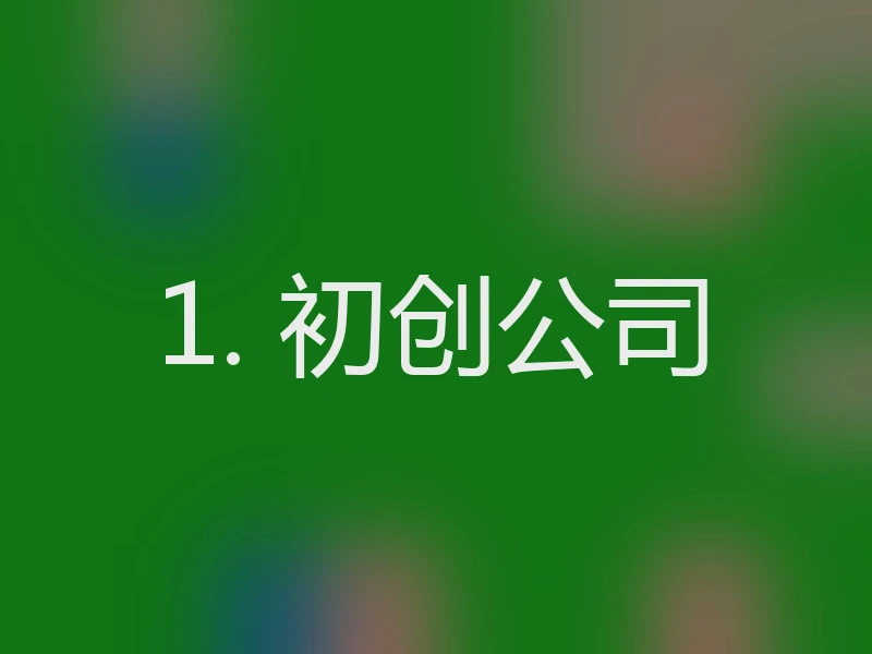 1. 初创公司