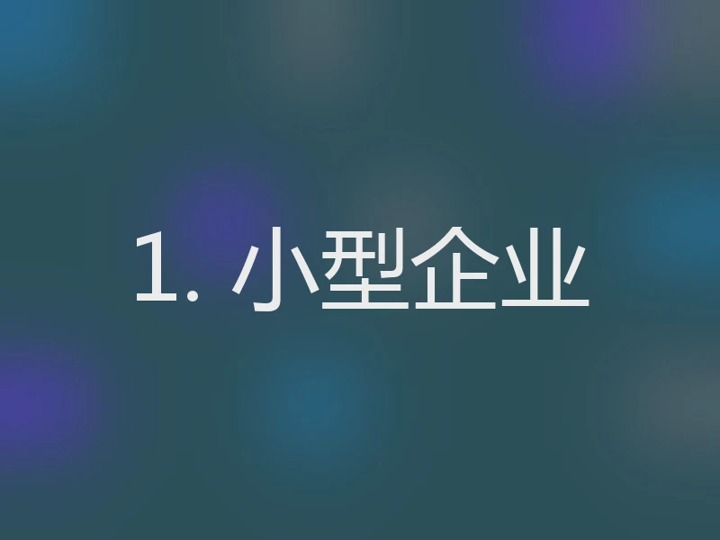 1. 小型企业